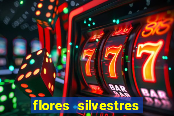 flores silvestres desbravadores desbravadores 25